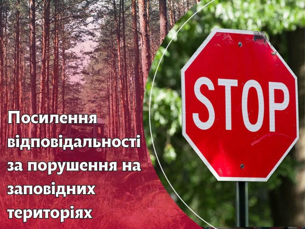 Посилення відповідальності за порушення на заповідних територіях: Верховна Рада підтримала важливий законопроєкт