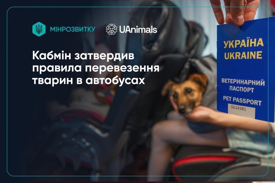 Нові правила перевезення тварин в автобусах: що зміниться?