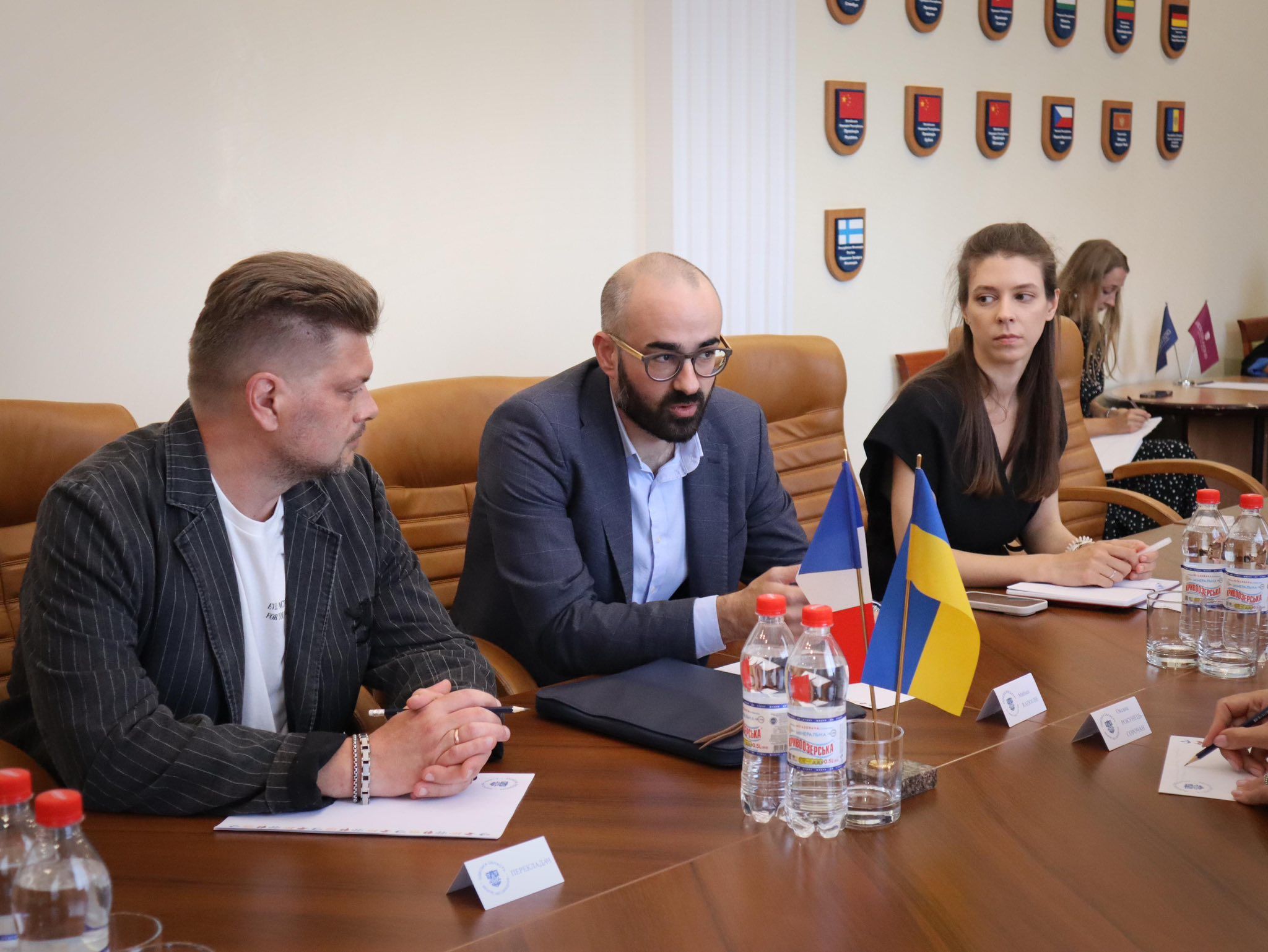 Expertise France в Україні 