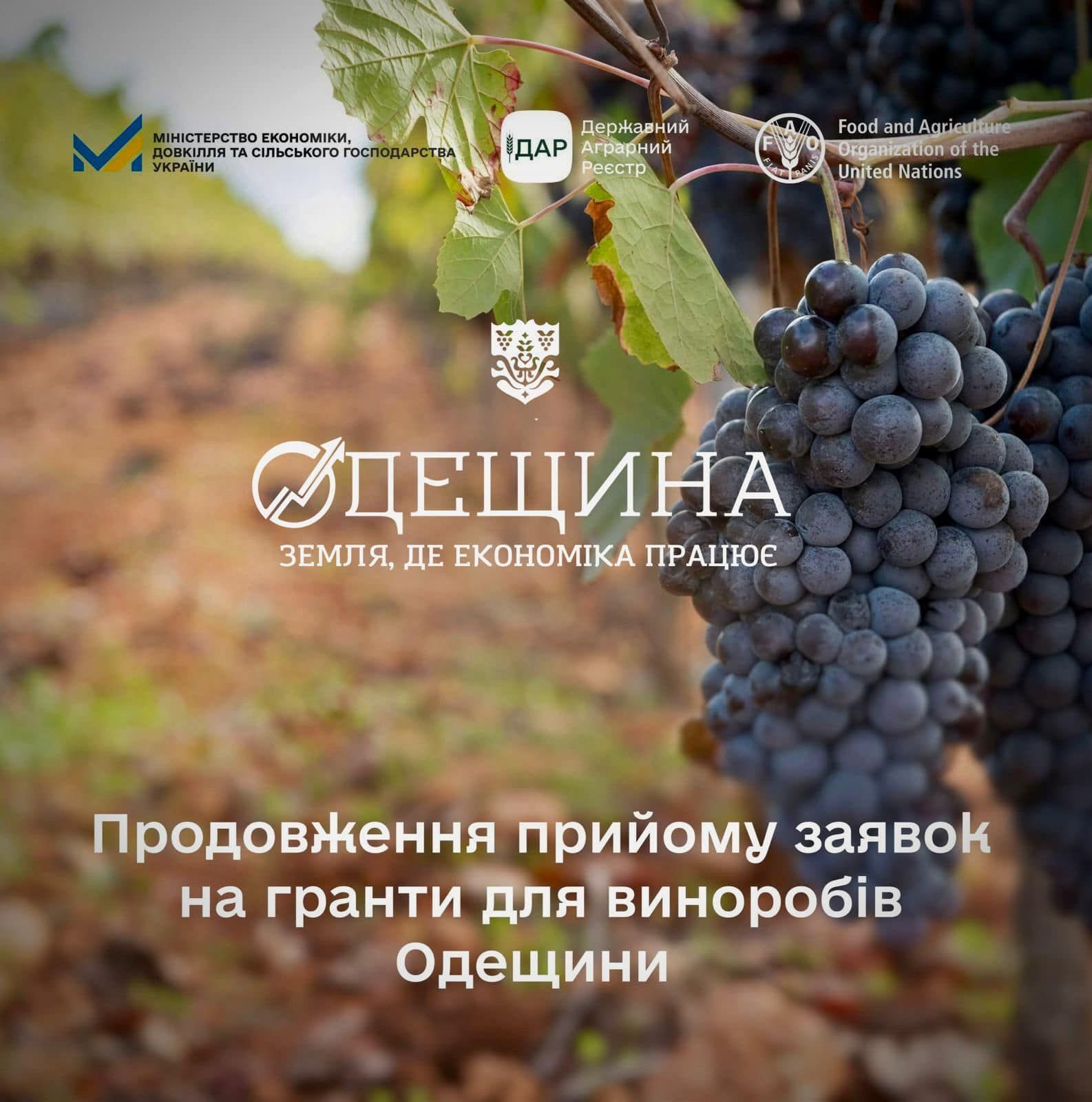 Прийом заявок на гранти для виноробів Одещини продовжено до 30 листопада 2025 року!
