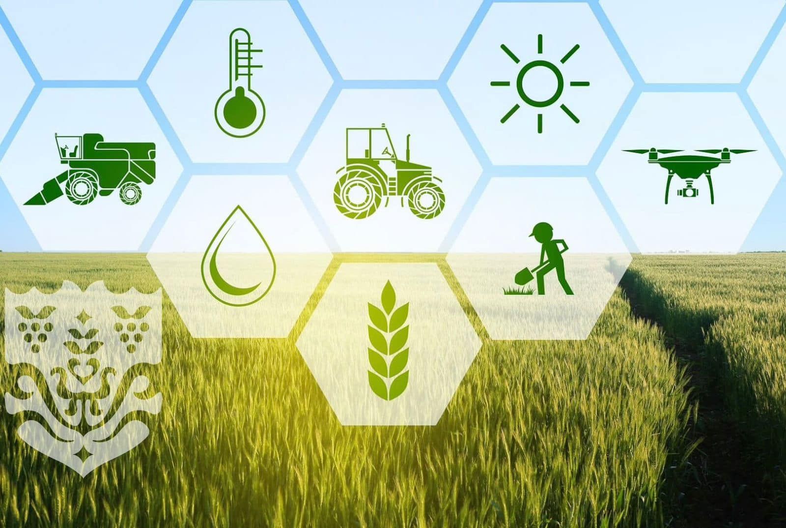 Одеська область посилює координацію розвитку агросектору